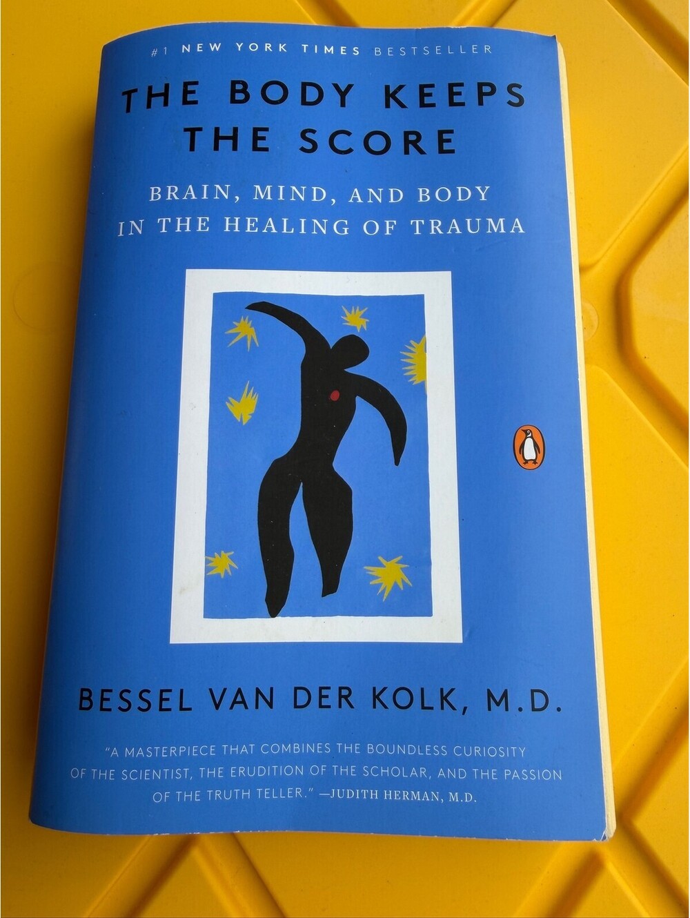 The Body Keeps the Score by Bessel van der Kolk - Used - Storage A-7